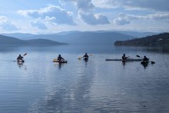 PXL_20250201_104408693.MP_