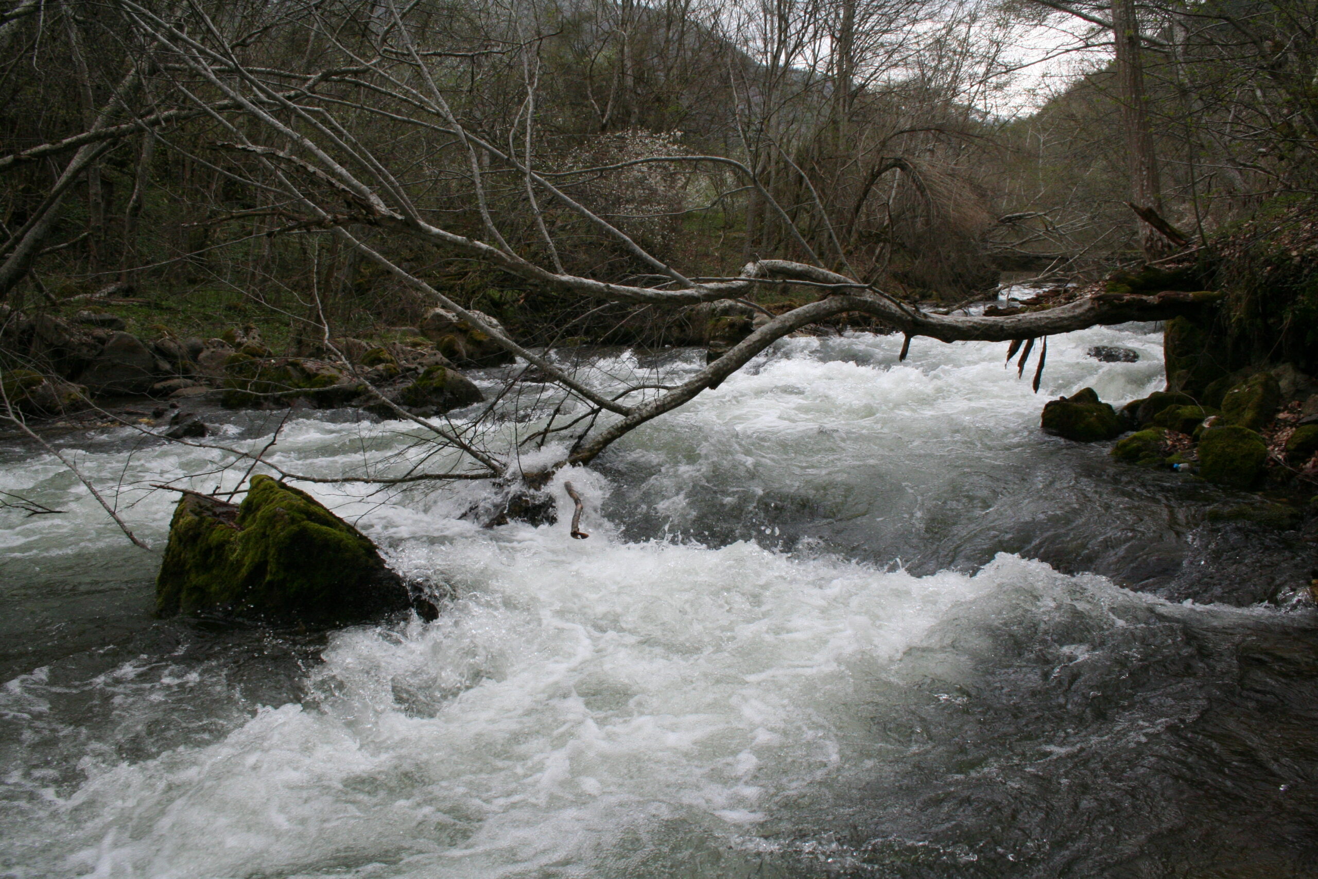 Rilska river – section from Iliyna river